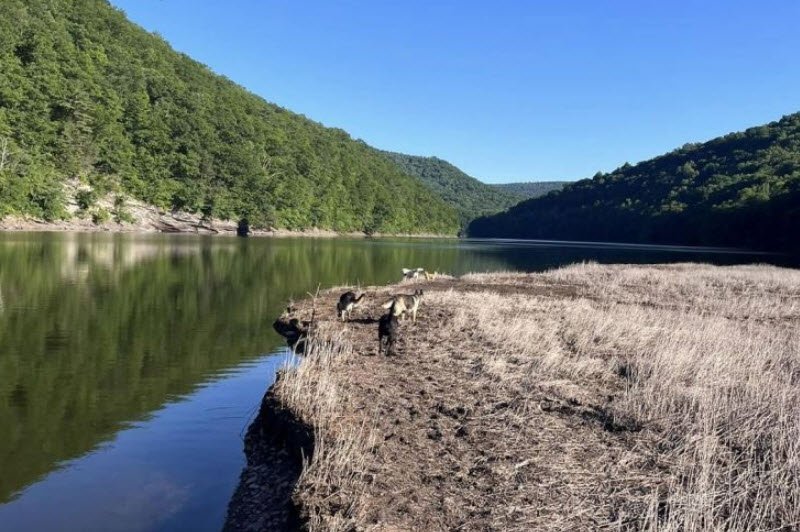 Big Run State Park, Maryland, USA